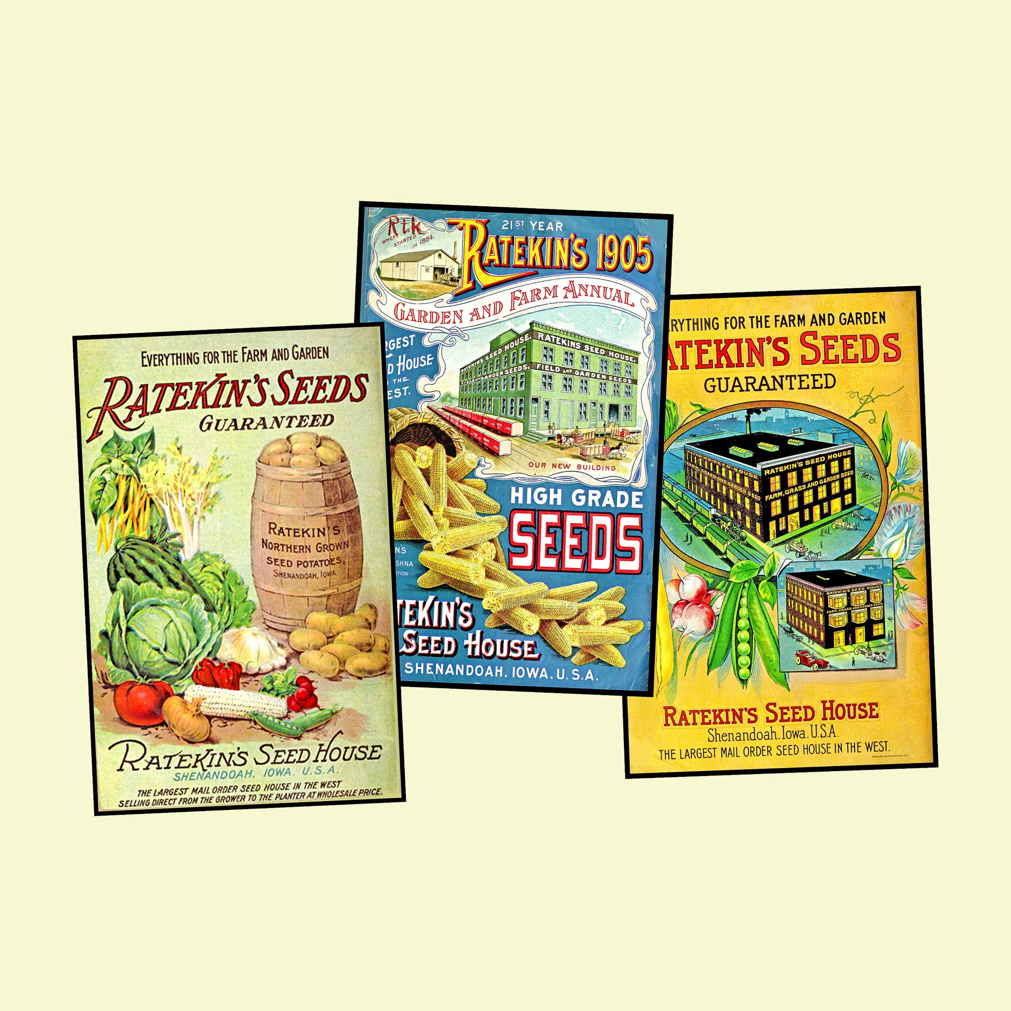 Garden Seed Packet Postcard Sticker Illustrations Gift for Her Vintage Style Gardening Images for DIY Postcards, 3.5" x 5.5" each, Set 41