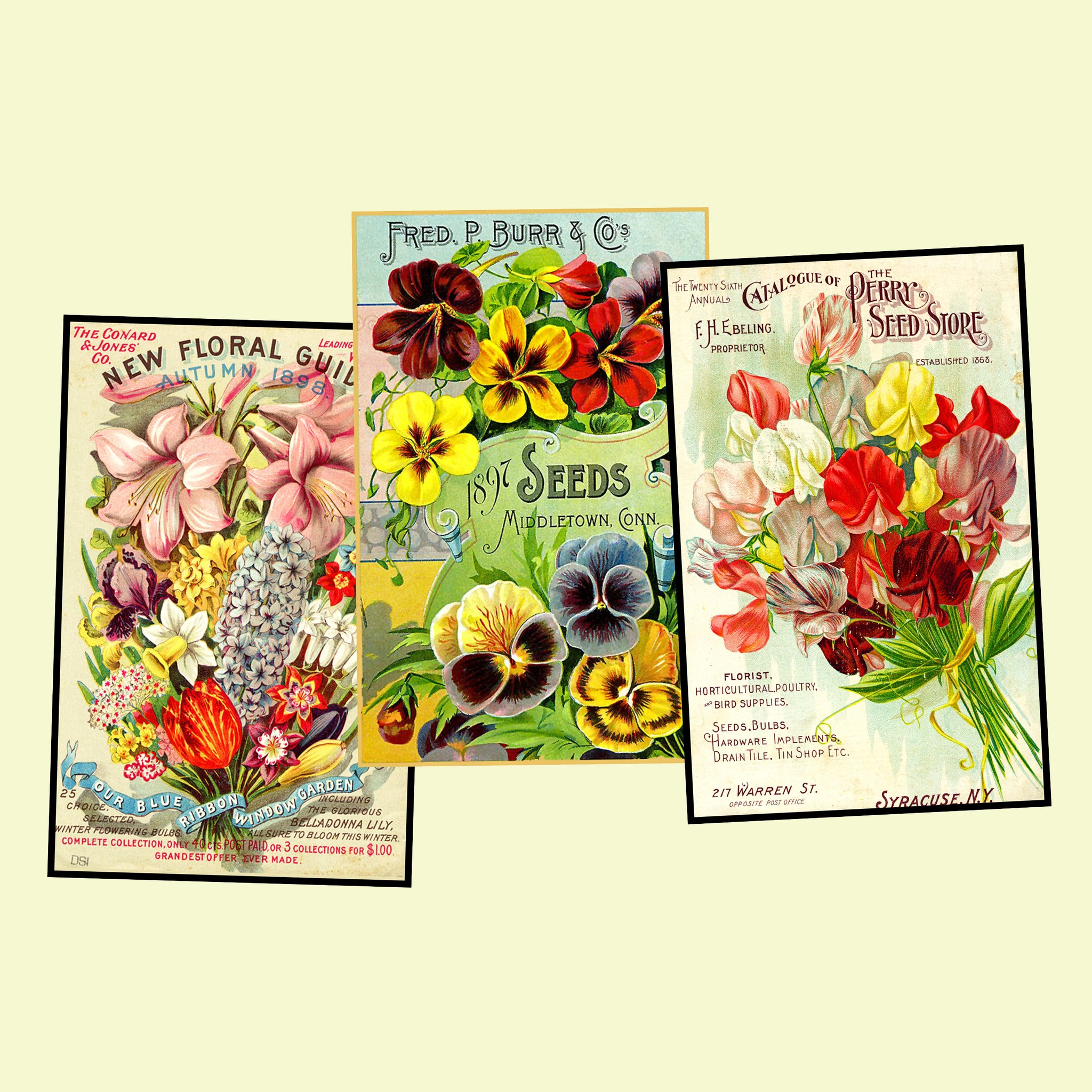 Garden Seed Packet Postcard Sticker Illustrations Gift for Her Vintage Style Gardening Images for DIY Postcards, 3.5" x 5.5" each, Set 58