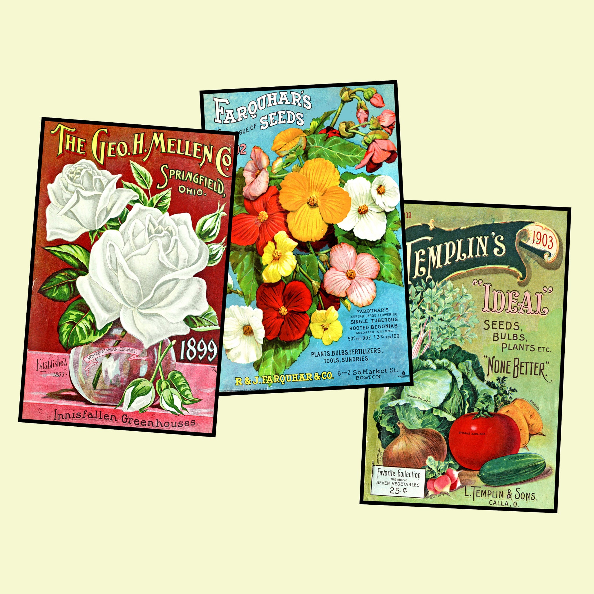 Garden Seed Packet Postcard Sticker Illustrations Gift for Her Vintage Style Gardening Images for DIY Postcards, 3.5" x 5.5" each, Set 59