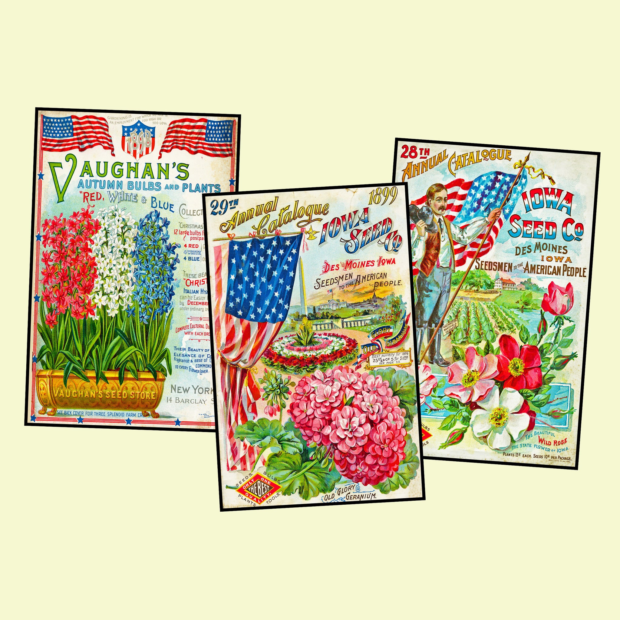 Garden Seed Packet Postcard Sticker Illustrations Gift for Her Vintage Style Gardening Images for DIY Postcards, 3.5" x 5.5" each, Set 60