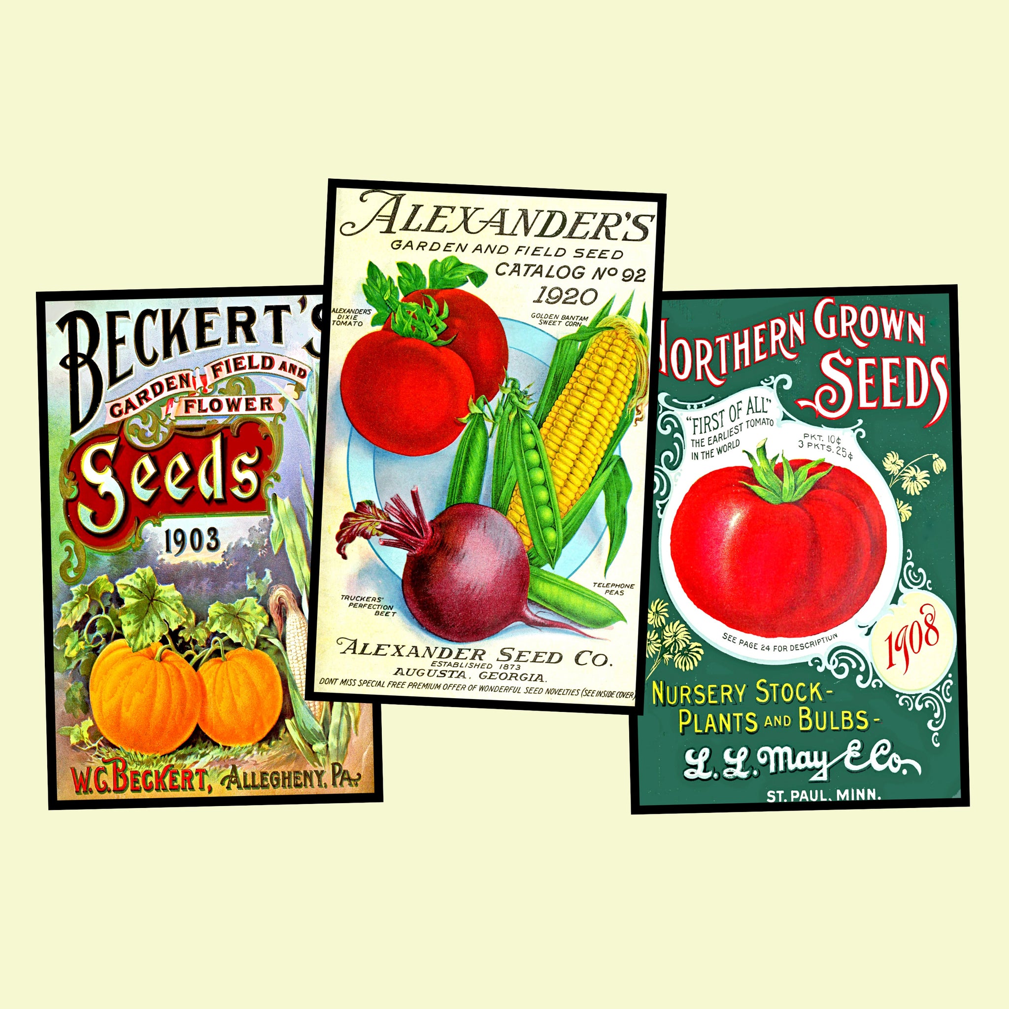 Garden Seed Packet Postcard Sticker Illustrations Gift for Her Vintage Style Gardening Images for DIY Postcards, 3.5" x 5.5" each, Set 61