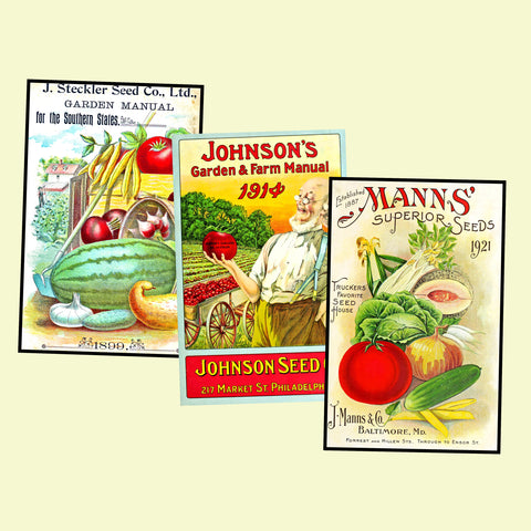 Garden Seed Packet Postcard Sticker Illustrations Gift for Her Vintage Style Gardening Images for DIY Postcards, 3.5" x 5.5" each, Set 62